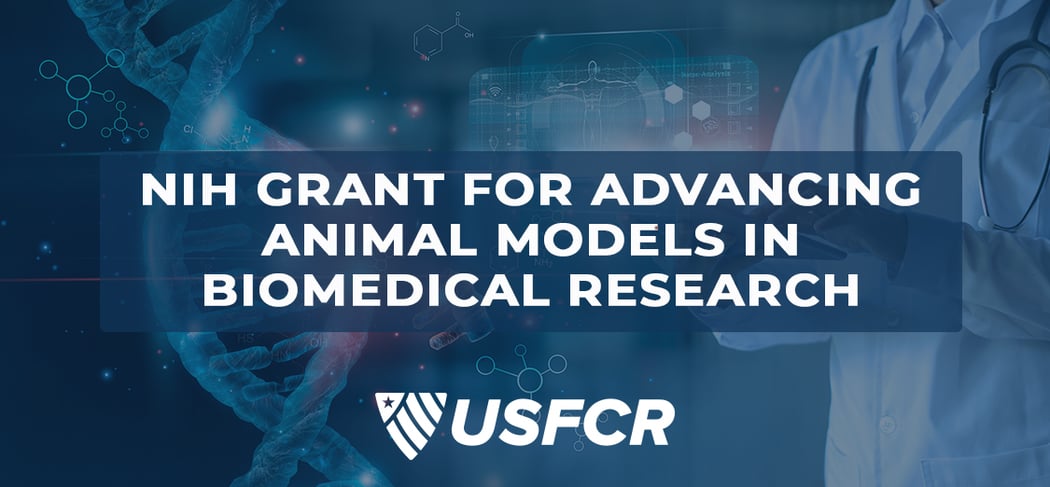 Hot grants - NIH Animal Models Grant