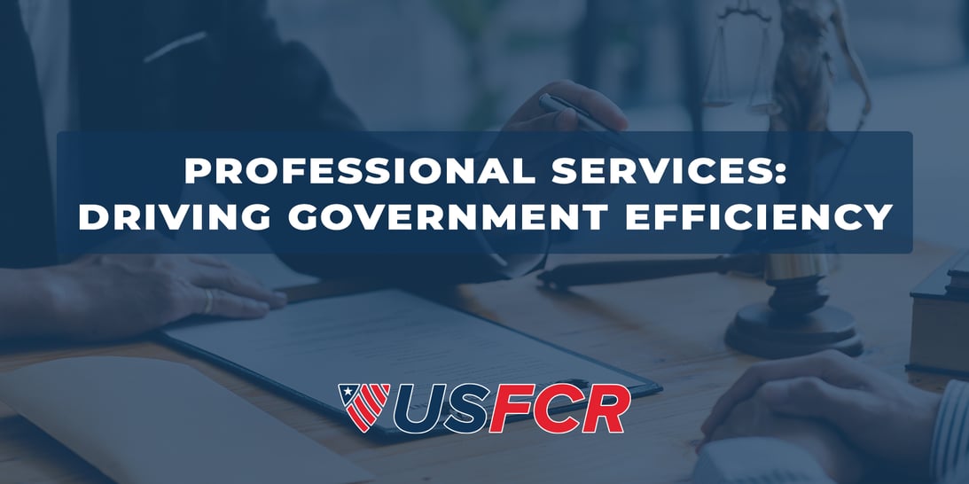 Professional Services- Driving Government Efficiency Forward-1